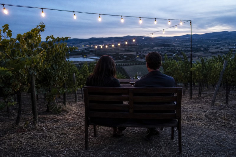 Couples Wine Tour in Valle de Guadalupe