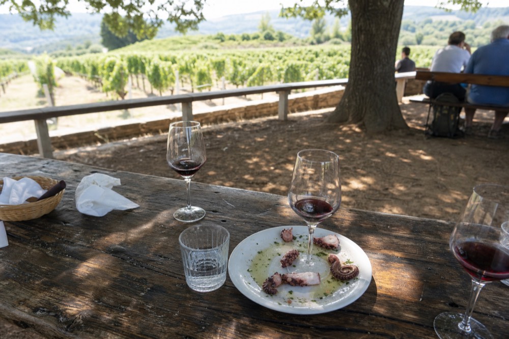 Wine tasting at a Valle de Guadalupe winery, no text, no logos, no people