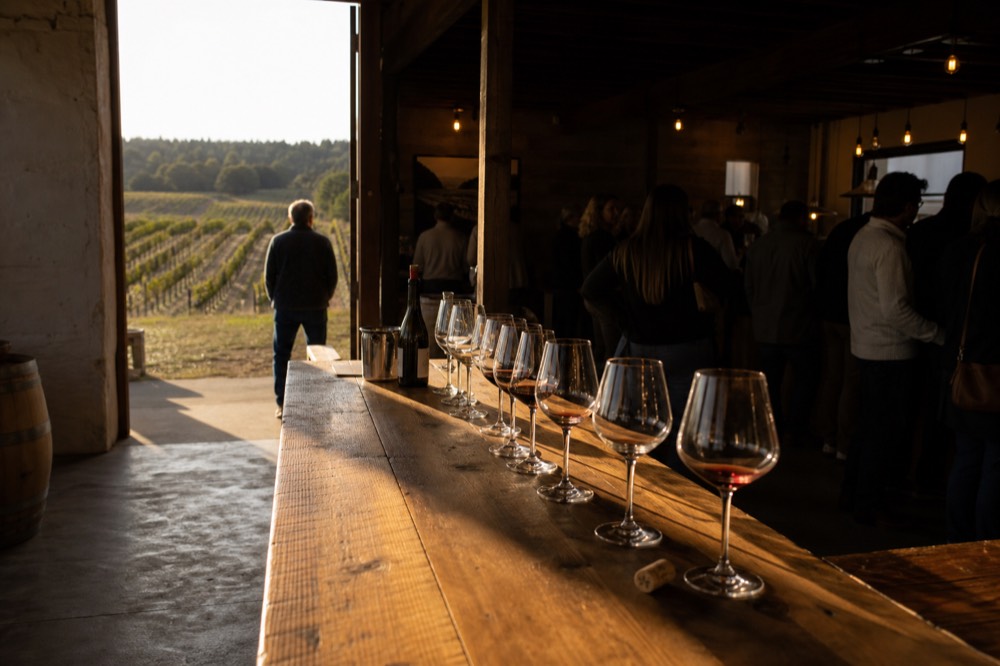 Vineyard tasting room in Valle de Guadalupe near Ensenada, no text, no logos, no people