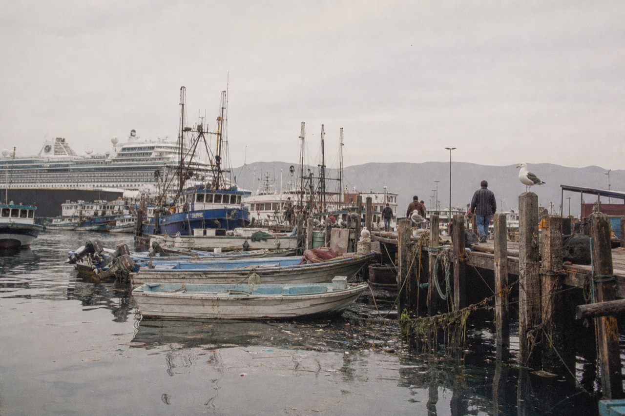 Ensenada harbor with fishing boats and cruise ship at the docks, no text, no logos, no people.