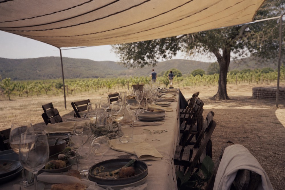 A long lunch table set with wine glasses and shared plates under shade near a vineyard, no text, no logos, no people