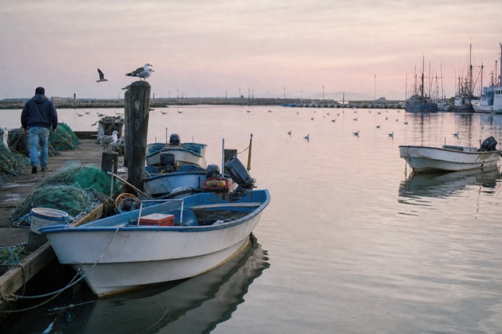 Fishing boats and the Ensenada waterfront at morning, no text, no logos, no people
