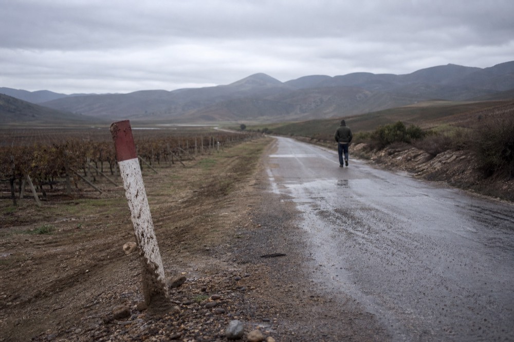 A rural road winding through vineyard country inland from Ensenada, no text, no logos, no people