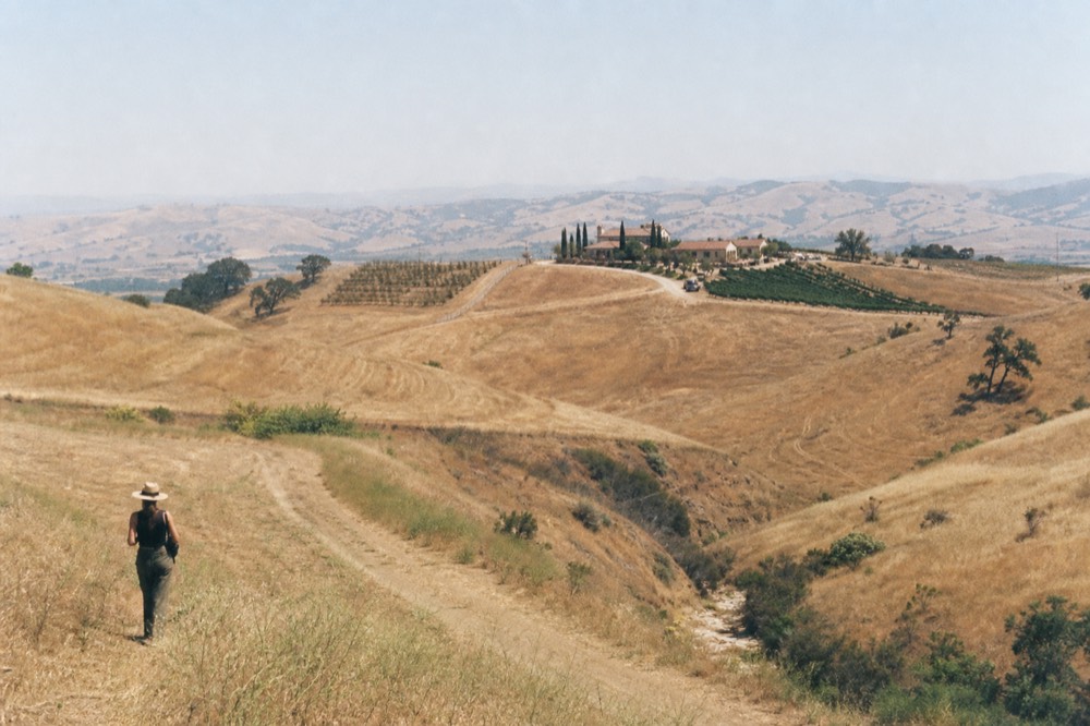 Dry golden hills with a distant vineyard property and a wide horizon, no text, no logos, no people.