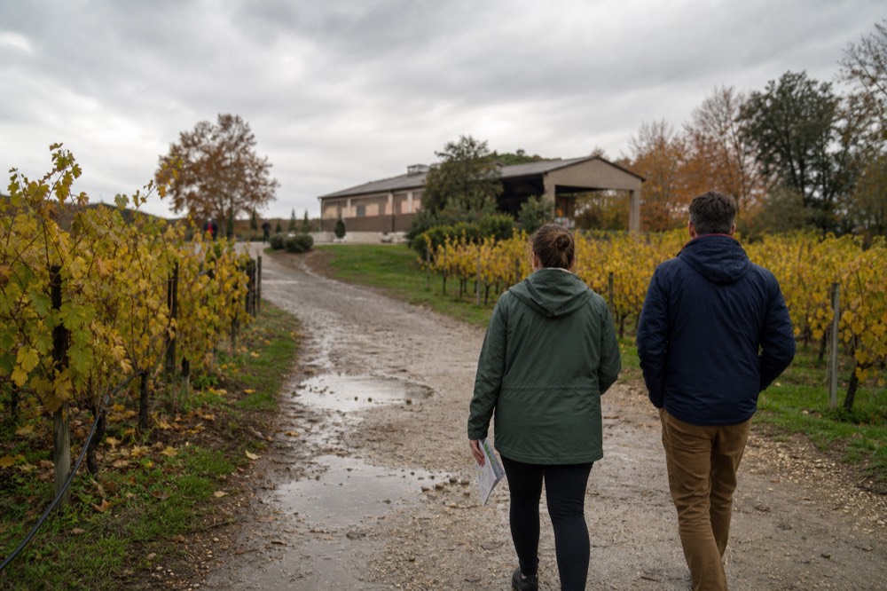 Travelers walking a gravel path between vineyard rows toward a winery building, no text, no logos, no people.