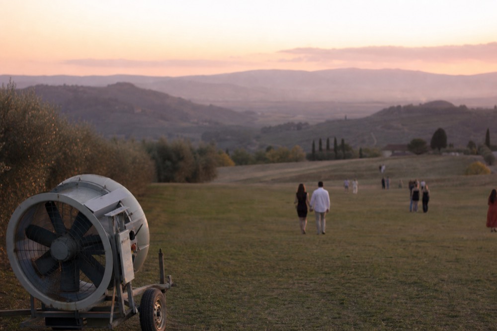 Sunset light over a valley landscape with distant vineyard properties, no text, no logos, no people.