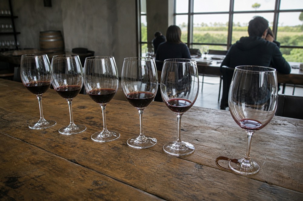 Glasses of red wine lined up on a wooden tasting bar in a Baja winery, no text, no logos, no people