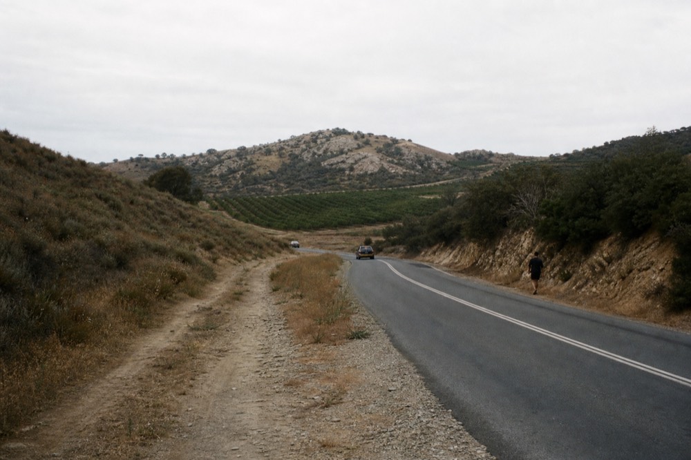 A road winding through dry hills toward vineyards in Baja California, no text, no logos, no people