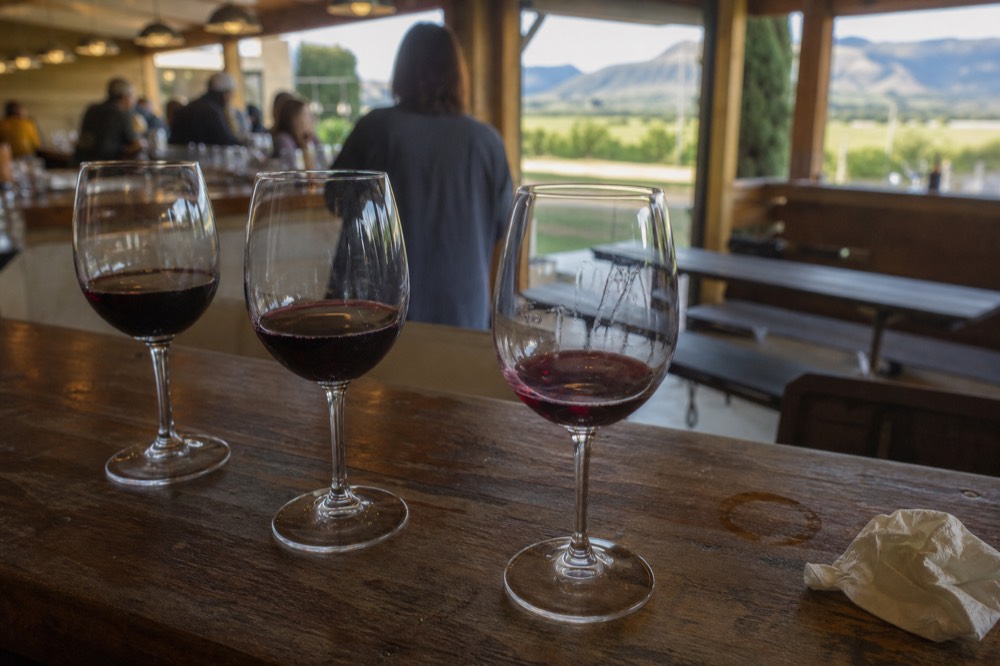 A tasting flight of red wines on a wooden tasting room counter, no text, no logos, no people